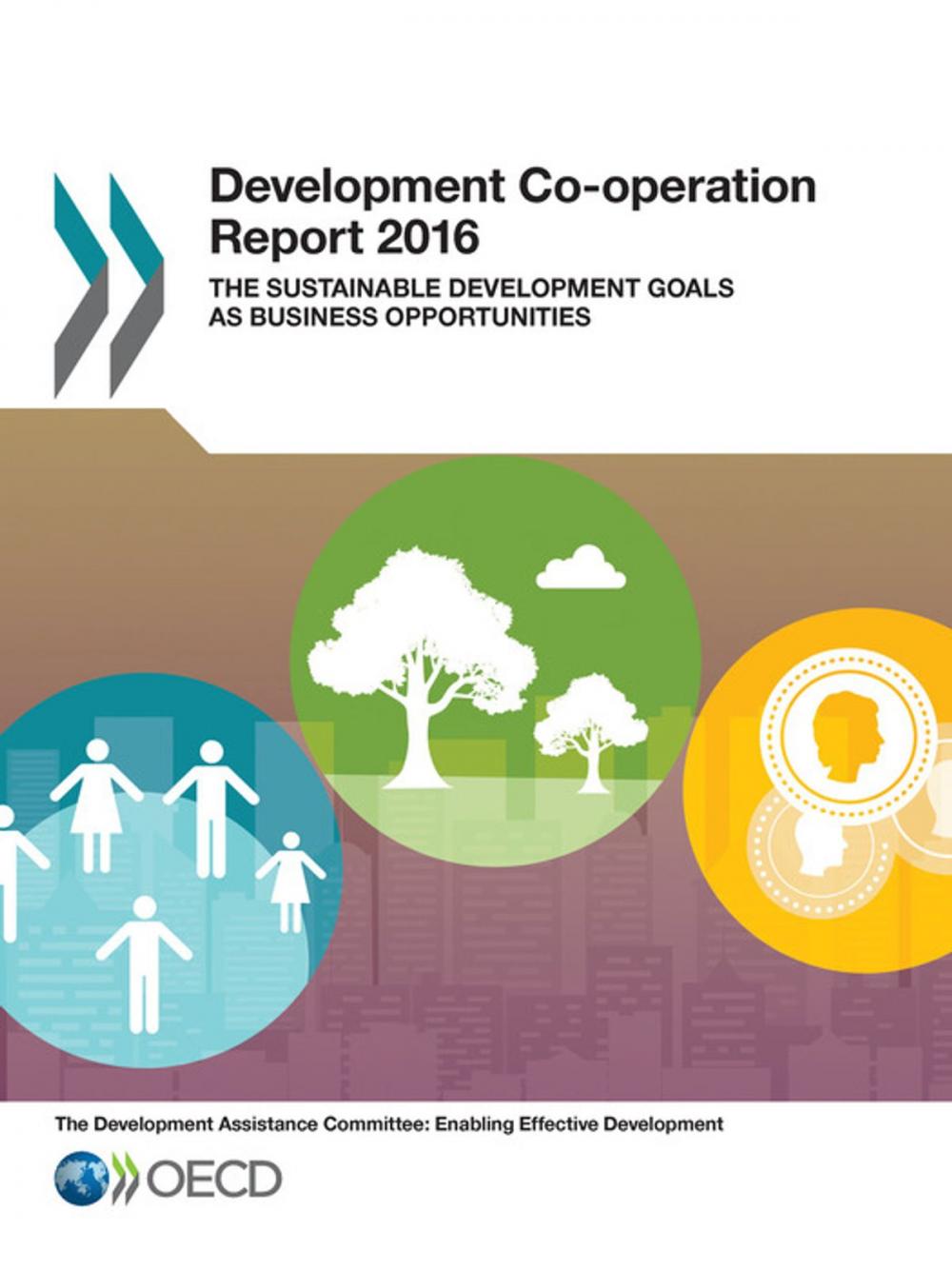 Big bigCover of Development Co-operation Report 2016