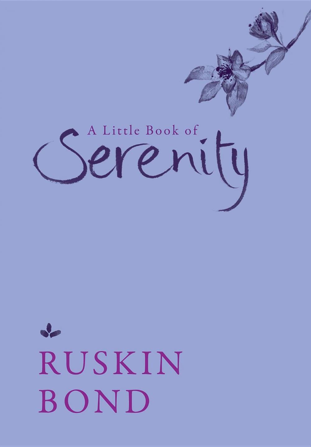 Big bigCover of A Little Book of Serenity