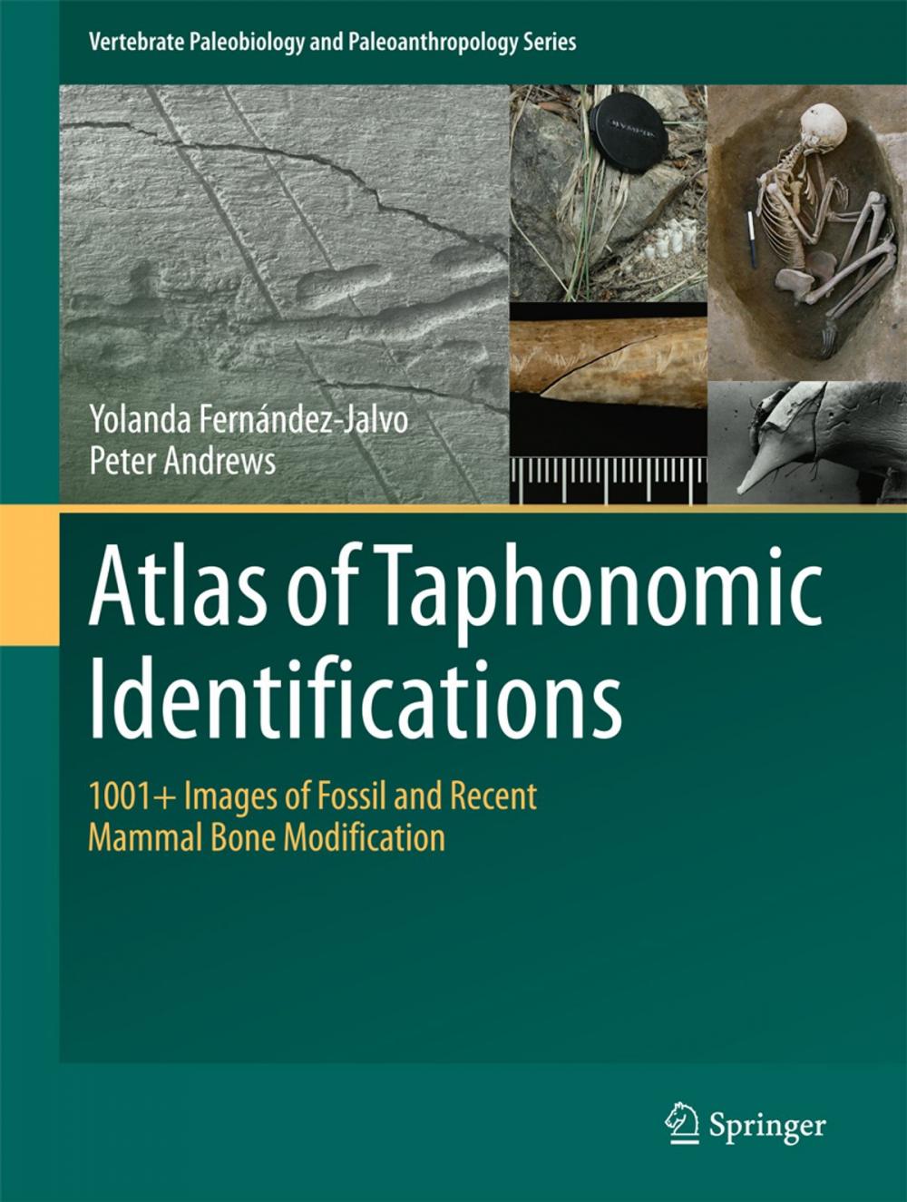 Big bigCover of Atlas of Taphonomic Identifications