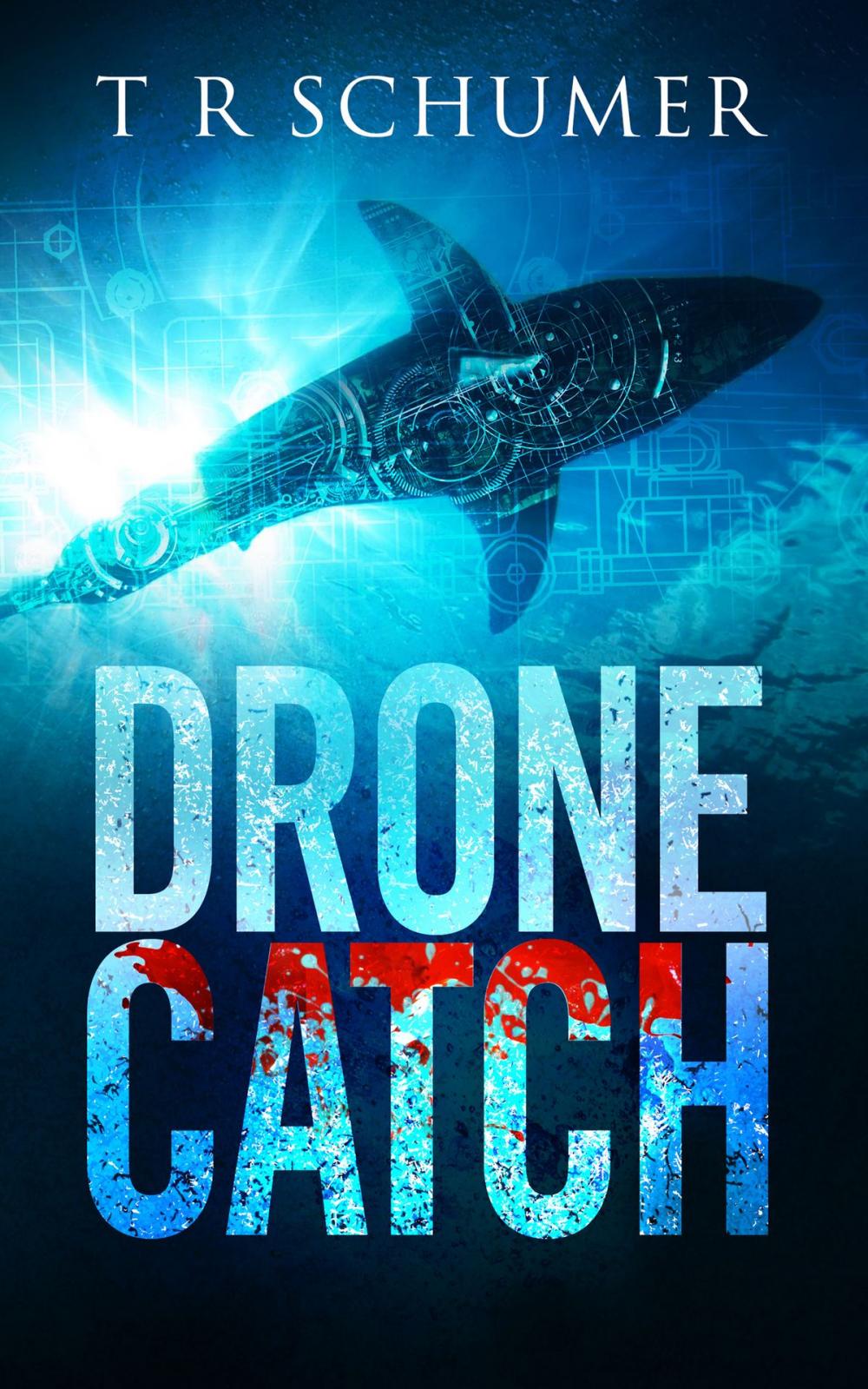 Big bigCover of Drone Catch