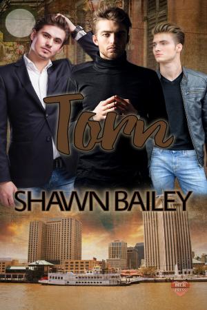 Cover of the book Torn by Adam Carpenter