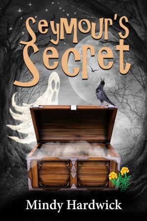 bigCover of the book Seymour's Secret by 