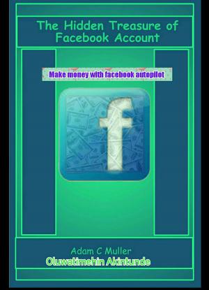 bigCover of the book The hidden treasure of your facebook account by 