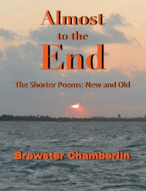 Cover of the book Almost to the End by Bill Craig