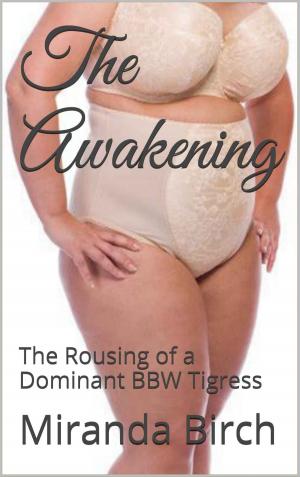 Cover of the book The Awakening by Moxie Morrigan