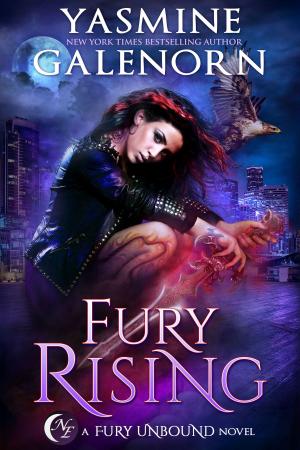 Cover of the book Fury Rising by Talyis Ellison