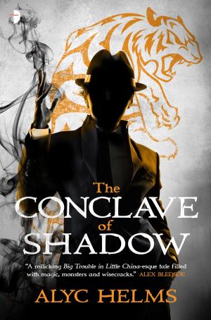 Book cover of The Conclave of Shadow