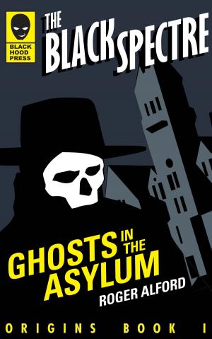 Cover of the book Ghosts in the Asylum by Candace Hennekens
