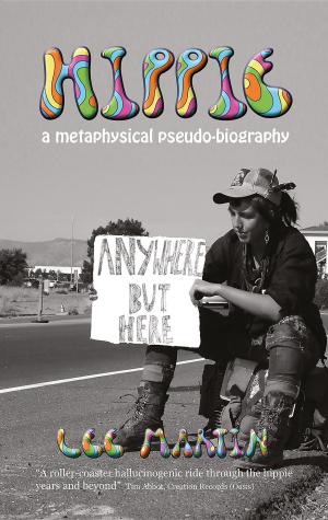 bigCover of the book Hippie by 