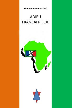 Cover of Adieu Francafrique