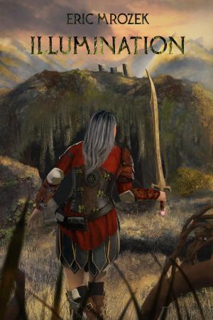 Cover of the book Illumination by Fredric L. Rice