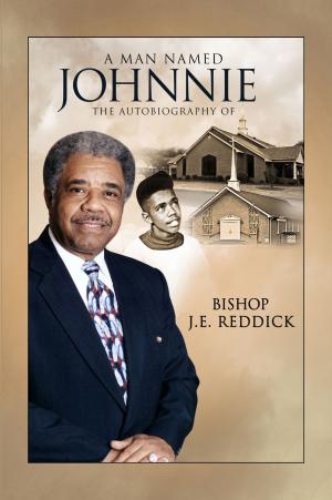 Cover of the book A Man Named Johnnie by Katrina M. Harrell, Akilah S. Richards