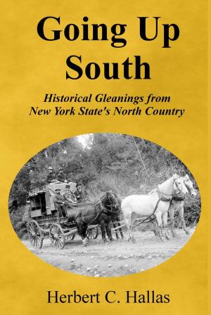 Cover of Going Up South: Historical Gleanings from New York State’s North Country