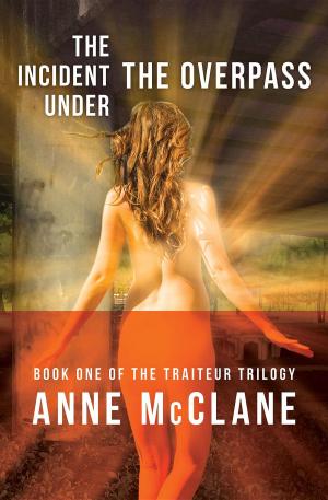 Cover of the book The Incident Under the Overpass by Jennifer Ashley