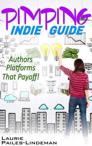 Cover of Pimping Indie Guide