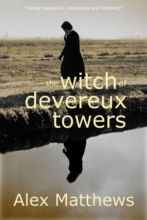 Cover of the book The Witch of Devereux Towers by Larry Koch