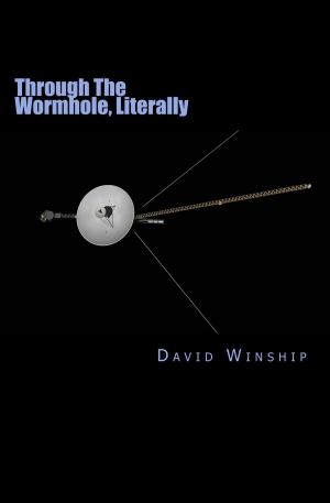 Cover of Through The Wormhole, Literally
