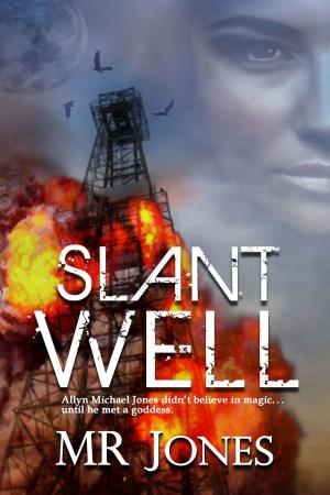 Cover of Slant Well