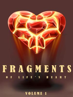 bigCover of the book Fragments of Life's Heart by 