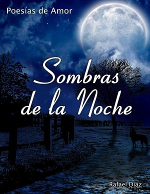 Cover of the book Sombras de la Noche by Susan KERSTEN