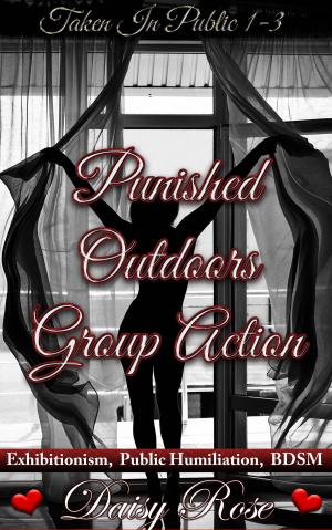 Cover of the book Punished Outdoors Group Action (Taken In Public 1 - 3) by Violet Winspear