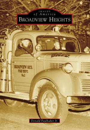 Cover of the book Broadview Heights by David R. Witte