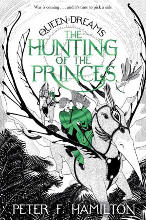 Cover of the book The Hunting of the Princes by Chris Riddell