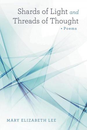 Cover of the book Shards of Light and Threads of Thought by Kathryn E. Livingston