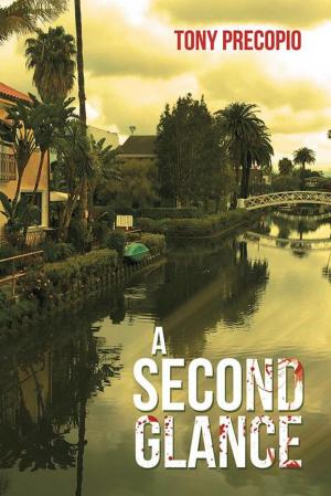 Cover of the book A Second Glance by Miriam Susan Carstons