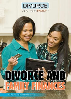 Cover of the book Divorce and Family Finances by Daniel E. Harmon, Henrietta M. Lily