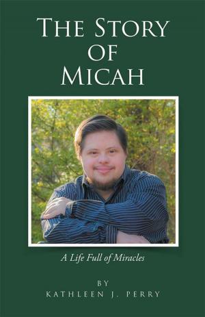 Cover of the book The Story of Micah by Tim Fernandes