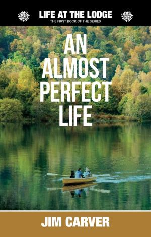 Book cover of An Almost Perfect Life