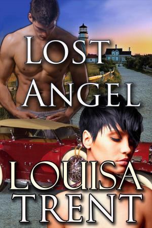 Book cover of Lost Angel