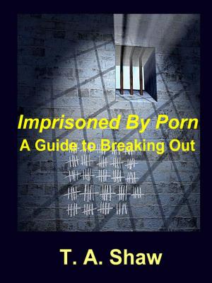 Cover of the book Imprisoned By Porn by Promise Tewogbola
