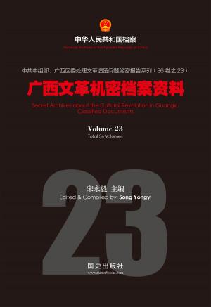 Cover of the book 《广西文革机密档案资料》(23) by Patricia Borlenghi