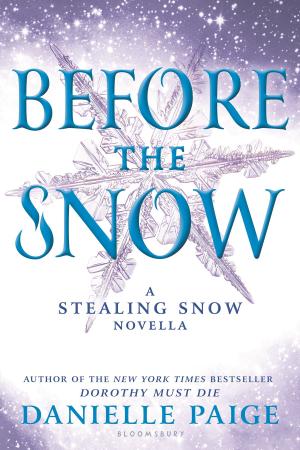 Cover of the book Before the Snow by Ronan Bennett