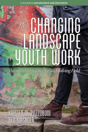 Cover of the book The Changing Landscape of Youth Work by Richard Volpe
