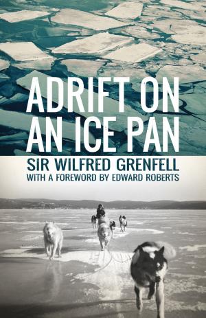 Cover of the book Adrift on an Ice Pan by Dale Jarvis