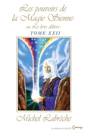 Cover of the book Les pouvoirs de la Magie Sienne Tome XXII by Francy