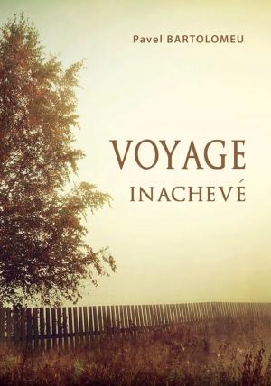 Cover of the book Voyage inachevé by Reinder Bruinsma