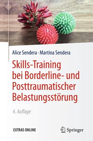 Cover of the book Skills-Training bei Borderline- und Posttraumatischer Belastungsstörung by Judith Froese