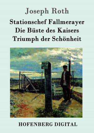 Cover of the book Stationschef Fallmerayer / Die Büste des Kaisers / Triumph der Schönheit by Friedrich Hebbel