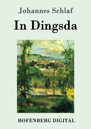Cover of the book In Dingsda by Victor Hugo