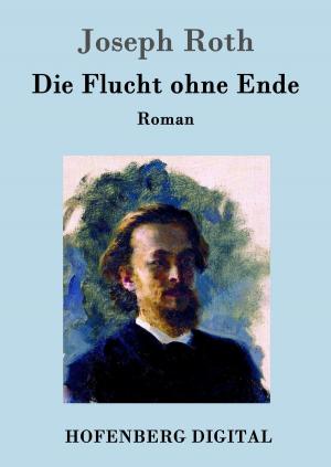 Cover of the book Die Flucht ohne Ende by Karl Emil Franzos