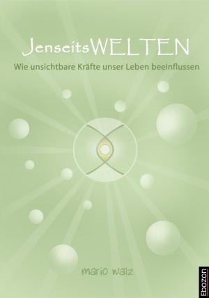 Cover of the book Jenseitswelten by Ócha'ni Lele