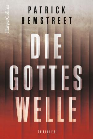 Cover of the book Die Gotteswelle by Carter Thomas
