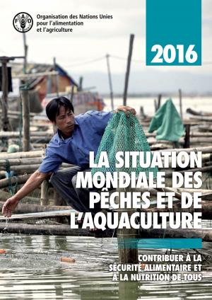 Cover of the book La situation mondiale des pêches et de l’aquaculture 2016: Contribuer à la sécurité alimentaire et à la nutrition de tous by Economic and Social Commission for Western Asia (ESCWA)
