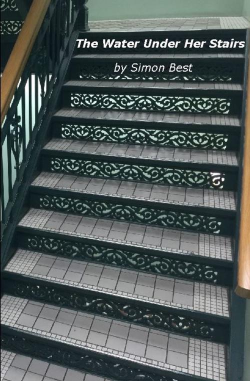 Cover of the book The Water Under Her Stairs by Simon Best, Tera Publishing