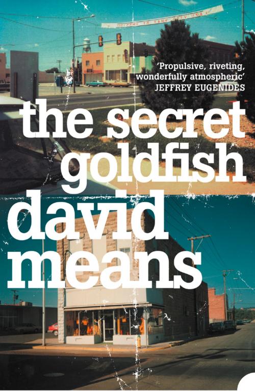 Cover of the book The Secret Goldfish by David Means, HarperCollins Publishers