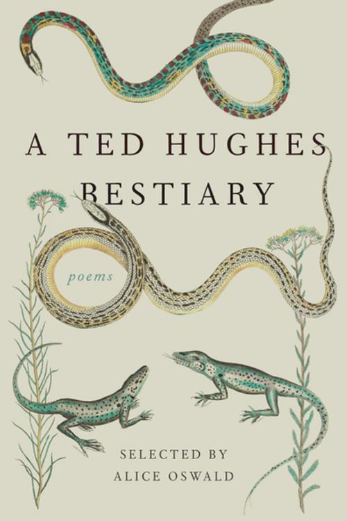 Cover of the book A Ted Hughes Bestiary by Ted Hughes, Farrar, Straus and Giroux